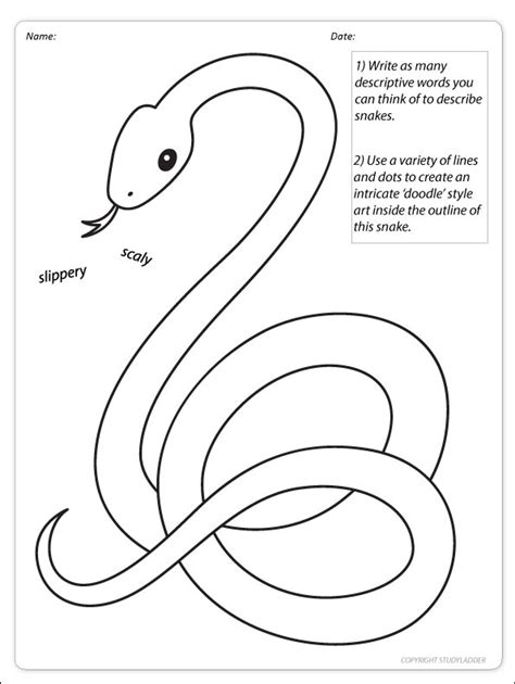 Snakes Doodle Art - Studyladder Interactive Learning Games