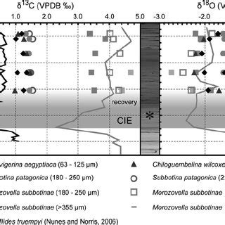 Biplots Of Carbon And Oxygen Isotope Data Of All Species Per Sample