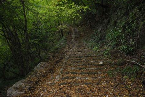 Altopiano Di Asiago Sette Comuni Cal Del Sasso Al Sasso Di Asiago