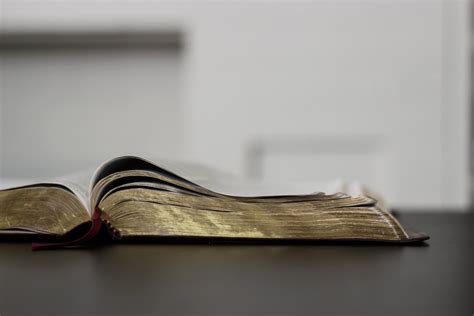 Free Stock Photo of Open Bible on Dark Table