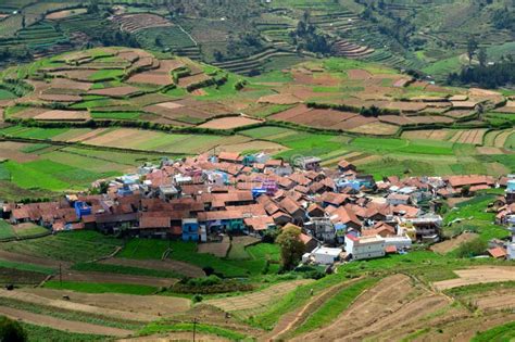 Terrace Farming Poombarai Village Stock Photo - Image of farmland, india: 142138100