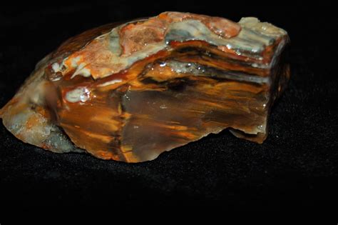 180 Gr Petrified Wood Agate Natural Rough