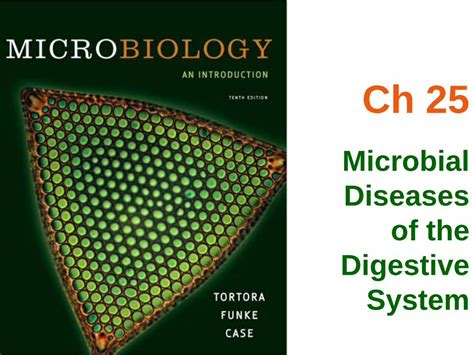 Pdf Microbial Diseases Of The System Las Positas Collegelpc Clpccd