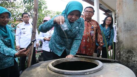 Tp Pkk Kalbar Turun Langsung Cegah Dbd Serahkan Bungkus Abate