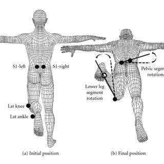 (PDF) Gender Differences in Modifying Lumbopelvic Motion during Hip ...