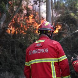 Portugal Mindestens sieben Tote bei Waldbränden tagesschau de