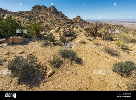 Hiking The Maze Loop In Joshua Tree National Park In California Usa