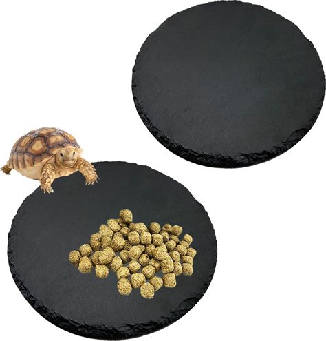 Amazon Reptile Basking Platform Pcs In Turtle Rock Slate