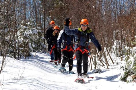 Mont Tremblant Ziplines Wanderung GetYourGuide