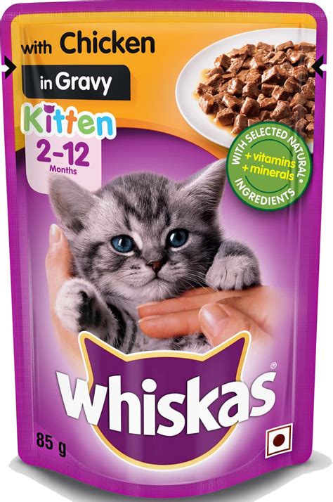 Buy Whiskas Kitten Months Dry Cat Food Food Ocean Fish Kg