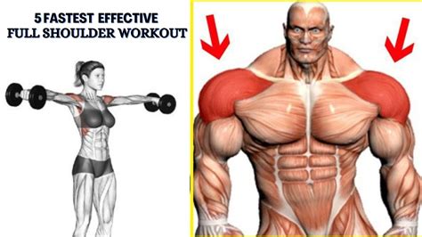 Top Best Shoulder Exercises For Gym Quick Effective Shoulders