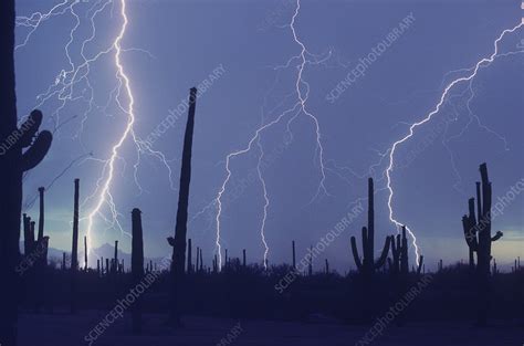 Cloud to Ground Lightning - Stock Image - C017/4376 - Science Photo Library