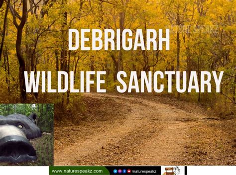 Debrigarh Wildlife Sanctuary - Odisha Tourism - Odishaah