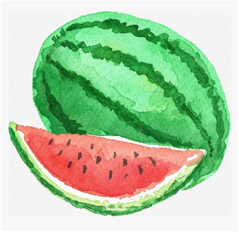 Watermelon Drawing Watermelon Painting Watermelon Crafts Cute