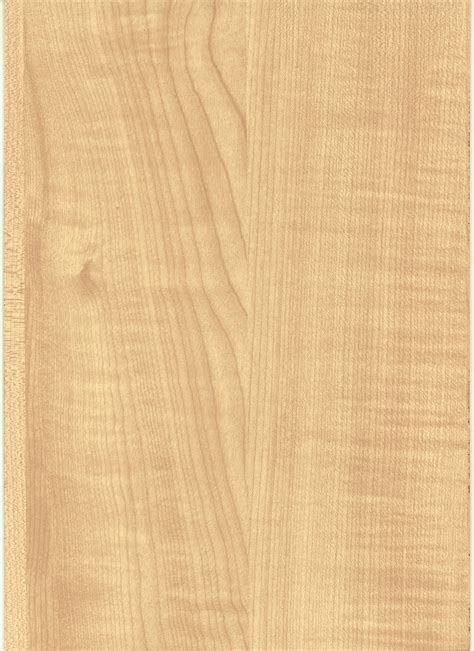 Thansau Maple Timbmet