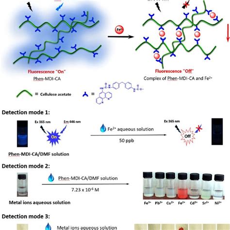 Detection Of Fe 2 Ions In Multimode Detection Mode 1 Fluorescence