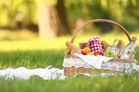 Como Preparar O Picnic Perfeito Dicas E Truques