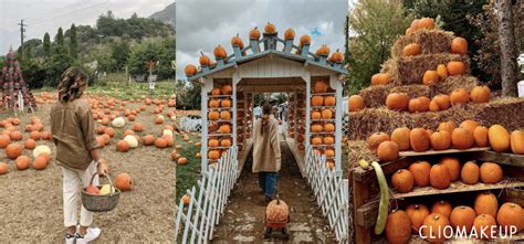 Campi Di Zucche In Italia I Pi Belli Per Fare Pumpkin Patch Per Halloween