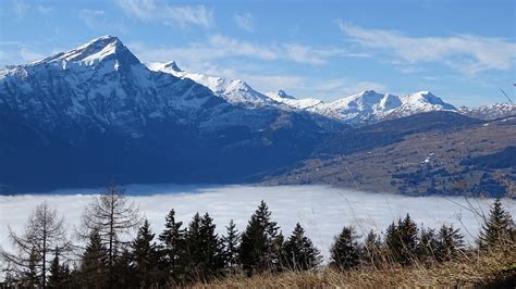 Blick Aufs Nebelmeer Fotos Hikr Org