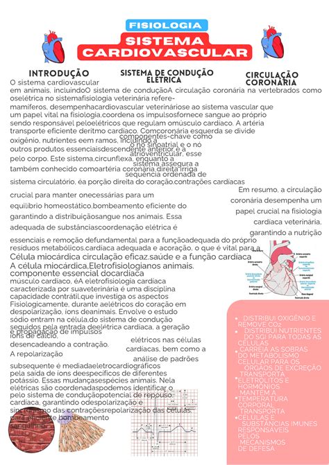 Fisiologia Cardiovascular Sistema Cardiovascular Distribui Oxig Nio E