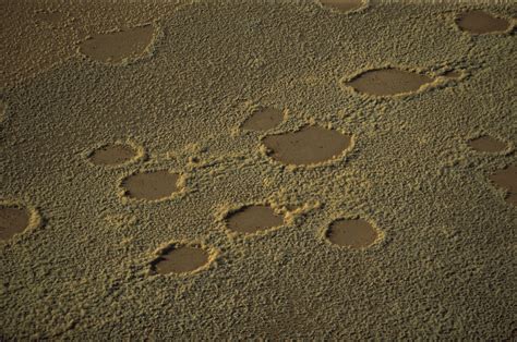 Mysterious Fairy Circles Discovered In Australian Outback