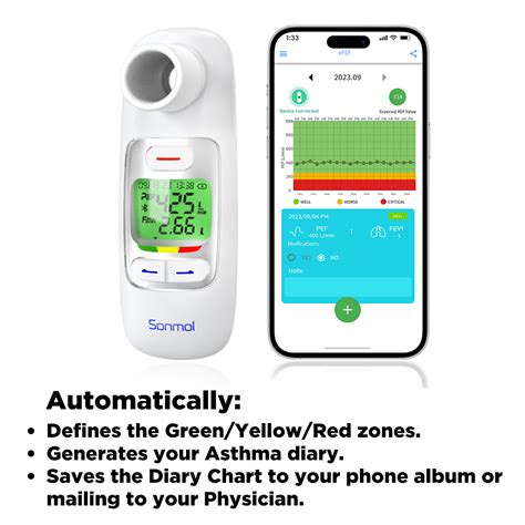 Peak Flow Meter