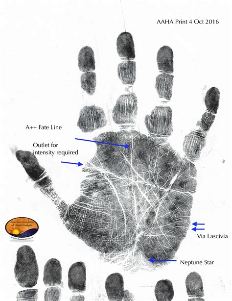 Forensic Science Fingerprint Analysis