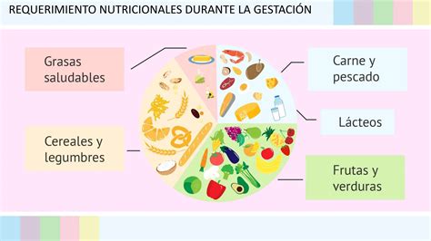 Requerimiento Nutricional Seminario Pptx