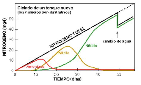 Elimina los nitratos del agua de tu acuario Guía completa