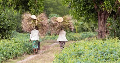 Mujeres Rurales Un Trabajo Invisibilizado Blog Articulos