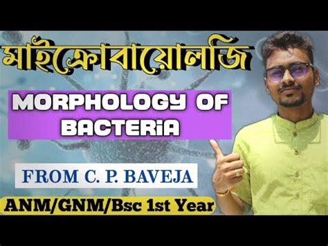 Morphology Of Bacteria Part 1 Morphology Of Bacteria In Bengali