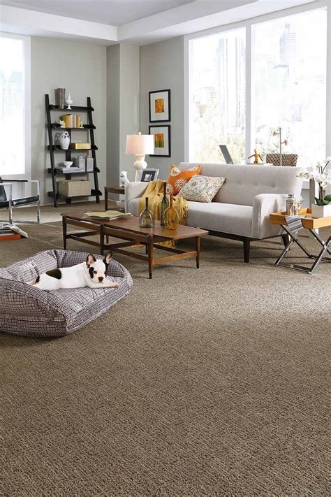 Brown Carpet Living Room Brown Carpet Bedroom Living Room Flooring