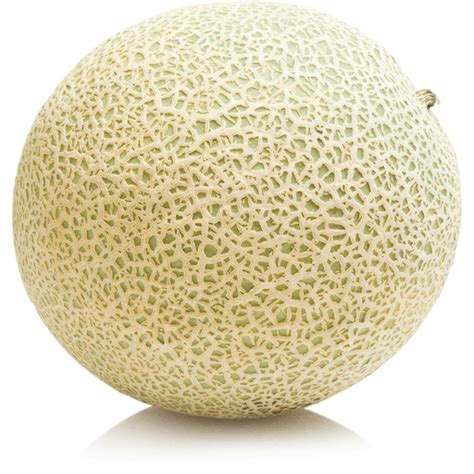 Cantaloupe Melon, Large | Melons | Roth's