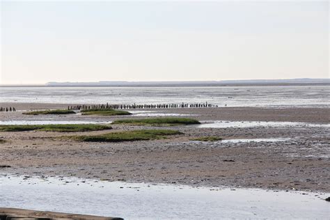 Ostfriesland Gulfhaus Am Mandepolder