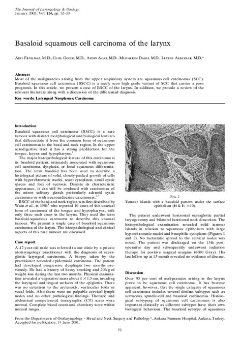 Pdf Basaloid Squamous Cell Carcinoma Of The Larynx Celil Gocer