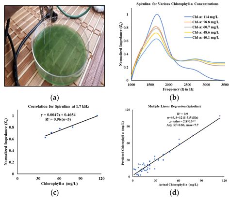 Water Free Full Text Estimation Of The Chlorophyll A Concentration Of Algae Species Using