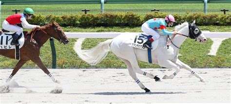 【東京6r・2歳新馬】白毛アマンテビアンコでルメールがjra通算1700勝達成「能力がありますね」 Umatoku 馬トク