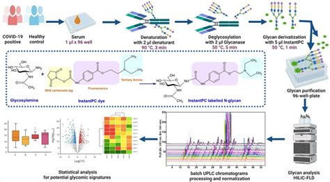 Workflow For High Throughput And High Sensitivity Human Serum