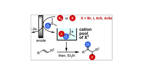 Halogen And Chalcogen Cation Pools Stabilized By DMSO Versatile