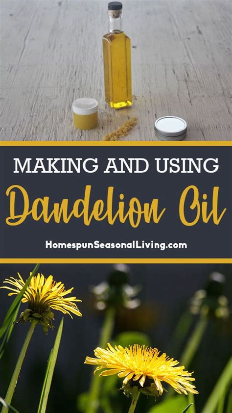 Making And Using Dandelion Oil Artofit