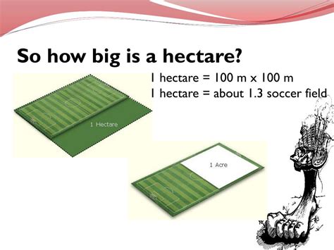 ecological footprints powerpoint    id