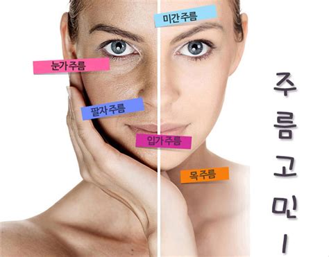 주름개선 기능성 화장품 링클닥터 꾸준하게 사용시 주름개선에 도움 전자신문