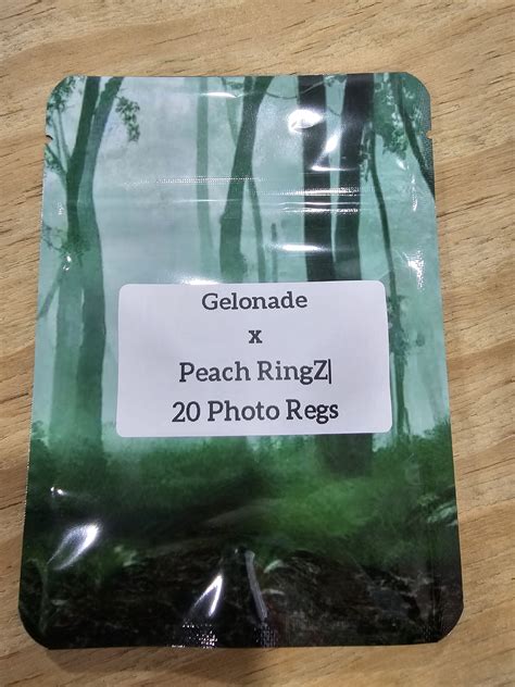 Gelonade X Peach Ringz 20 Photo Reg Seeds