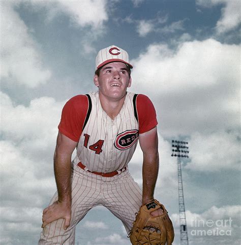 Baseball Player Pete Rose In Spring By Bettmann