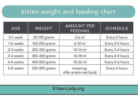 Printable Kitten Weight Chart