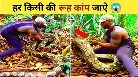 Man Catch Giant Python बिना डरे शख्स ने पकड़ लिया विशालकाय अजगर आगे जो