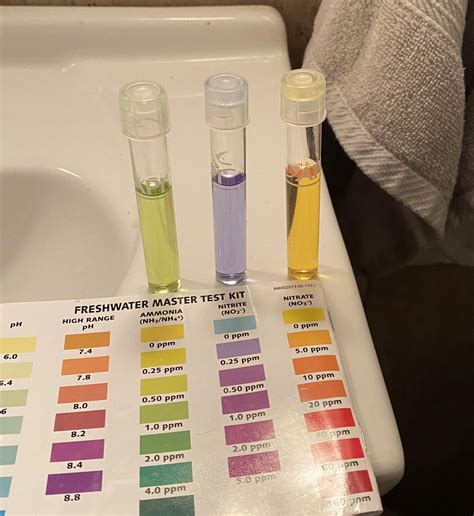 Help fish in cycle going very wrong!!! How do I fix it? Cycled for only