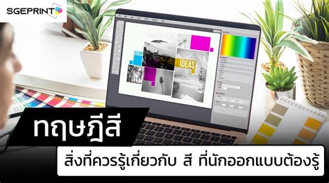 ทฤษฎีสี Color Theory และสิ่งที่ควรรู้ของ สี ที่นักออกแบบมือใหม่ต้องรู้