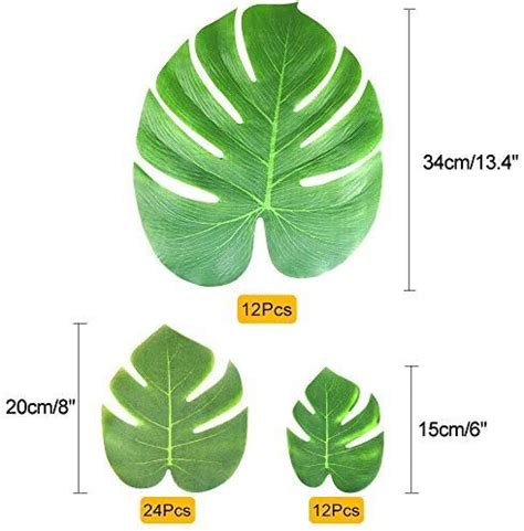 Three Different Types Of Leaves Are Shown In This Graphic Diagram And