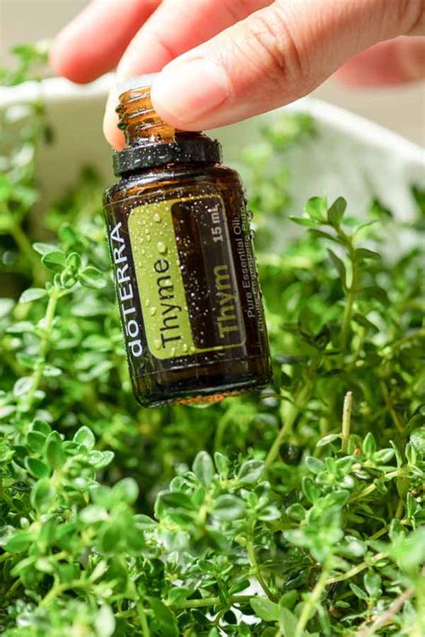 Doterra Thyme